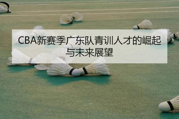 CBA新赛季广东队青训人才的崛起与未来展望